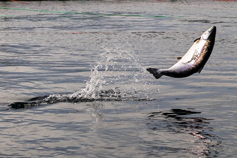 Lederjobben som vil bli husket lenge etter oss - som vil sette spor i norsk industrihistorie
