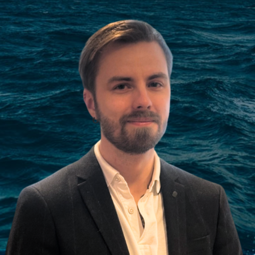 Ole Martin Hjelvik Sætremyr